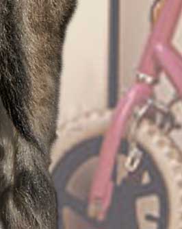 What a Beautiful Mess!!